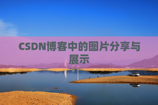 CSDN博客中的图片分享与展示